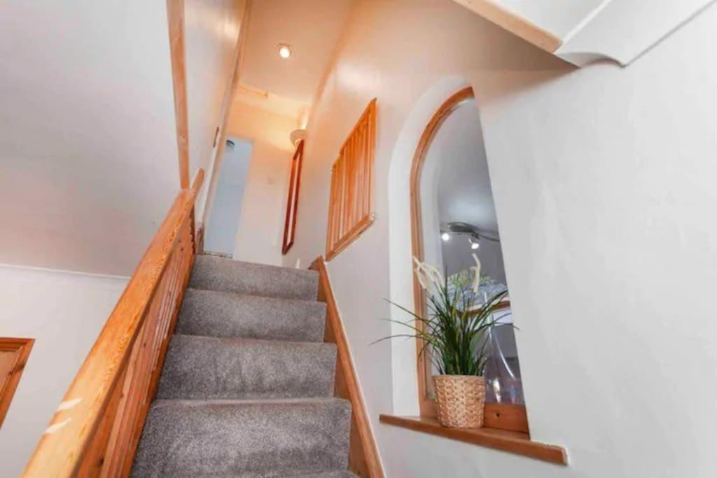 Cosy Heather Cottage 애쉬본 외부 사진